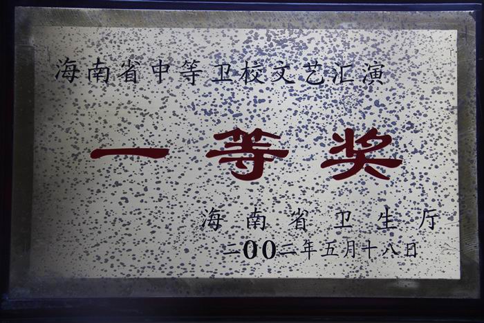 2002年海南省中等卫校文艺汇演...