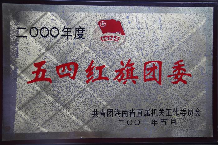 2000年度五四红旗团委